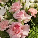 aa4.webp