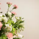 aa5.webp