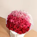 s4.webp