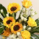 a5.webp