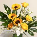 a6.webp