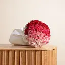 Gradient Roses Bouquet 
